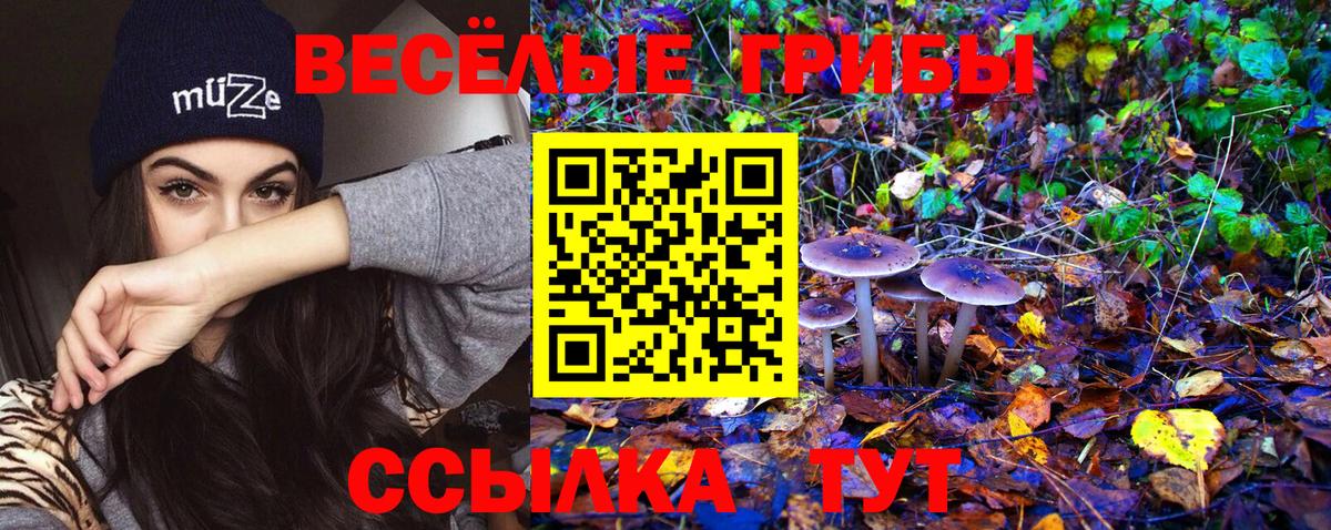 Галлюциногенные грибы Psilocybe Ивантеевка