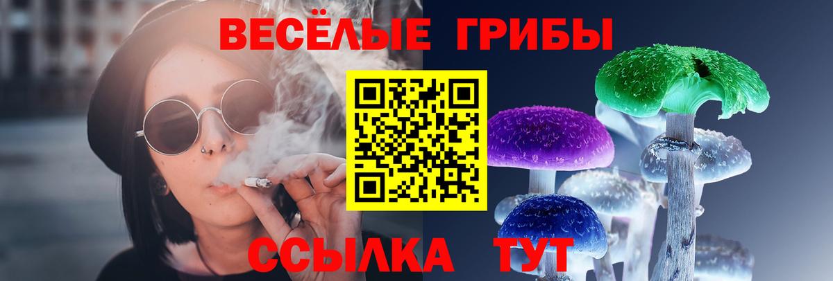 Ивантеевка  Псилоцибиновые грибы Magic Shrooms  Вход с VPN  хочу   Псилоцибиновые грибы ЛСД 